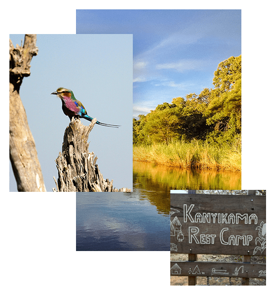 2025 02 26 13 25 53 home kanyikama rest camp
