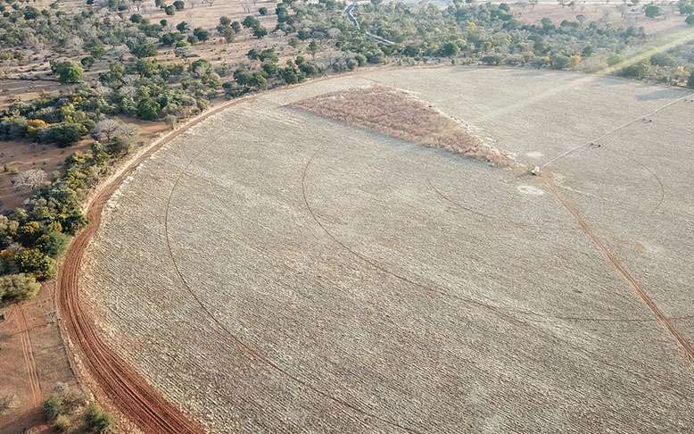 Home agriculture