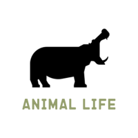 Kanyikama icon animal life 200x200xc